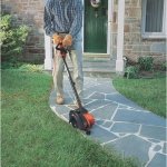 BLACK+DECKER Edge Hog 2-1/4 HP Electric Landscape Edger (LE750) - Image 3