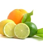 Jobe's Organics Fruit & Citrus Fertilizer Spikes, 6 Spikes - Image 3
