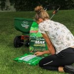 Scotts Turf Builder Green MAX Lawn Food - 5.7kg - 350m2 (3,767ft2) - Image 4